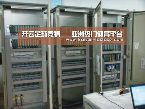 开云娱乐APP案例展示五(图1)