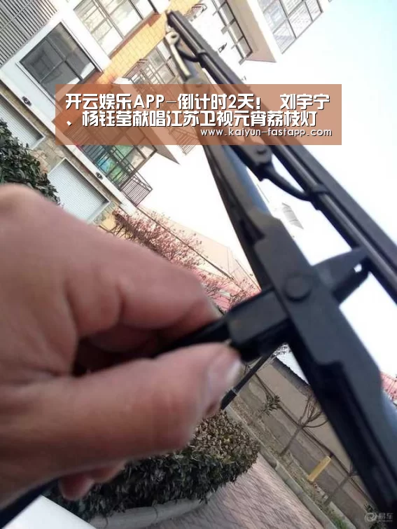 开云娱乐APP-倒计时2天! 刘宇宁、杨钰莹献唱江苏卫视元宵荔枝灯会(图2) 开云体育登录入口