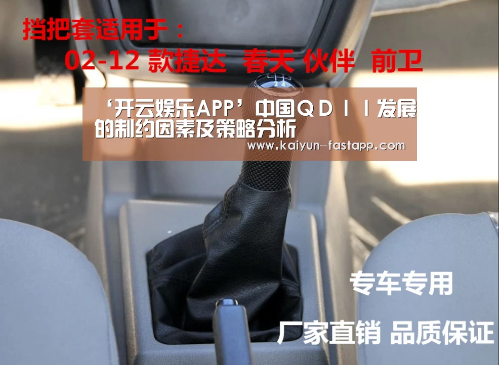 ‘开云娱乐APP’中国QDII发展的制约因素及策略分析(图4) 开云娱乐APP