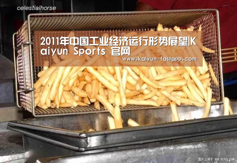 2011年中国工业经济运行形势展望|Kaiyun Sports 官网(图2) 开云电子