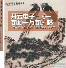 开云电子