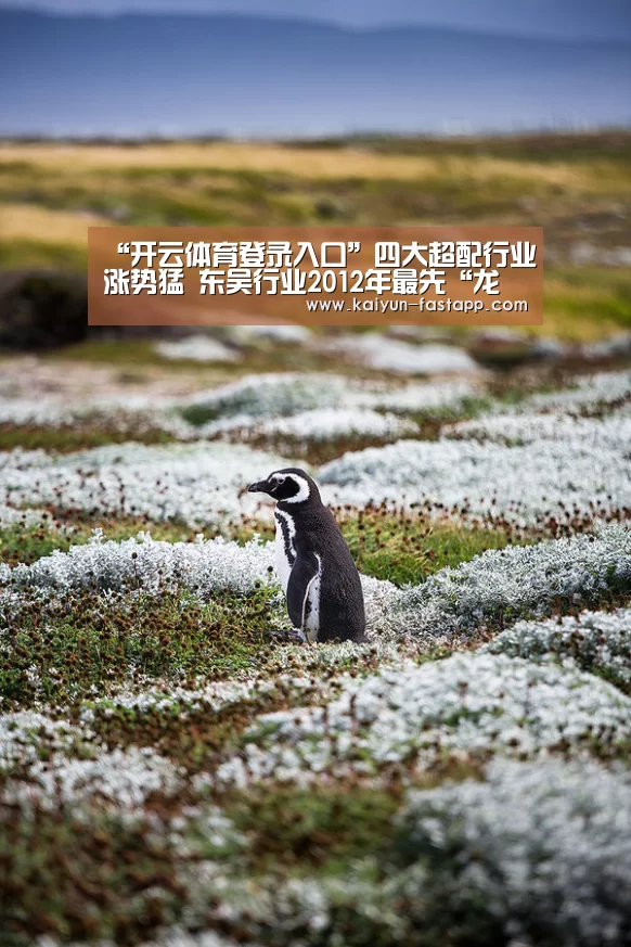 “开云体育登录入口”四大超配行业涨势猛 东吴行业2012年最先“龙抬头”(图1) Kaiyun Sports 官网