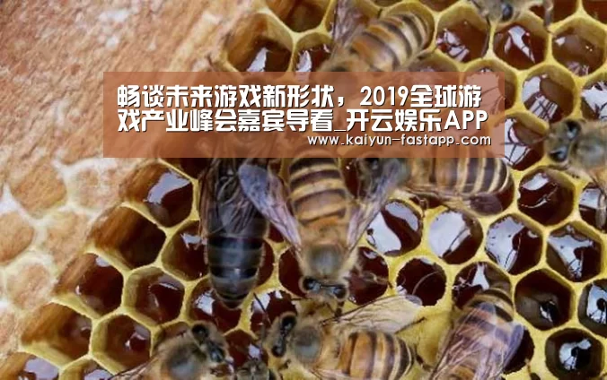 畅谈未来游戏新形状,2019全球游戏产业峰会嘉宾导看_开云娱乐APP(图4) 开云体育登录入口