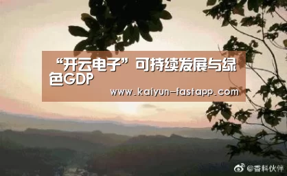“开云电子”可持续发展与绿色GDP(图2) 开云体育登录入口