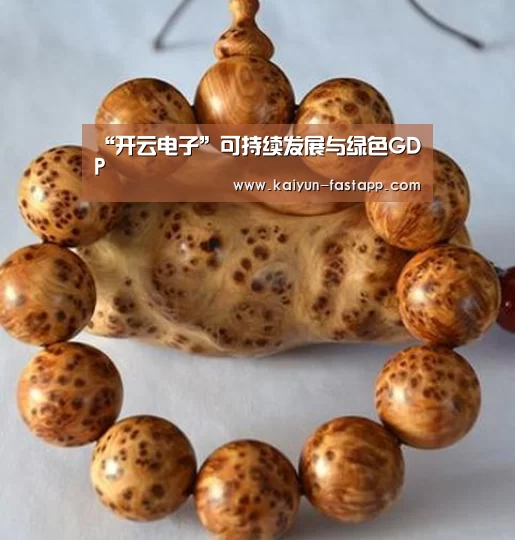 “开云电子”可持续发展与绿色GDP(图1) 开云娱乐APP